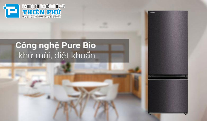 Lợi ích của việc sử dụng tủ lạnh Toshiba GR-RB410WE-PMV(37)-SG cho gia đình bạn