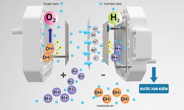 Nguyên lý hoạt động máy lọc nước Kangaroo Hydrogen ion kiềm
