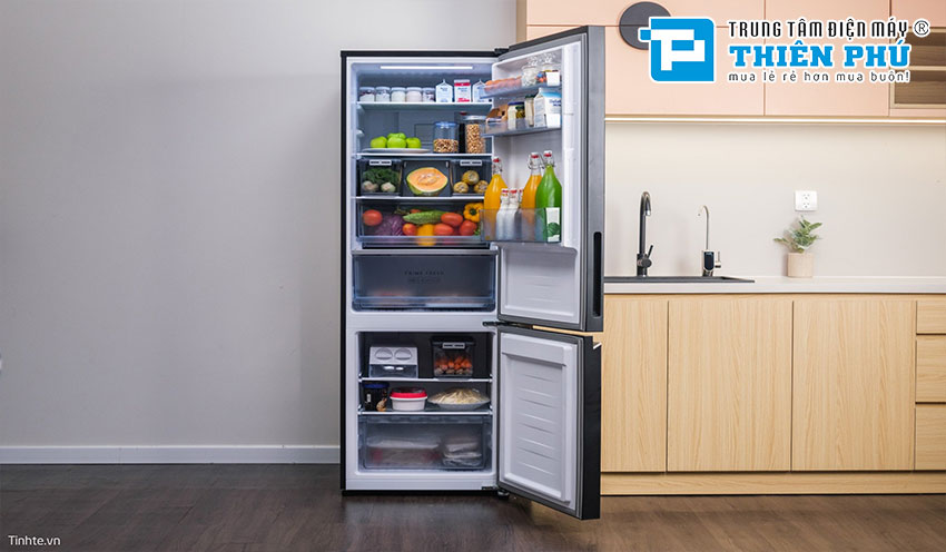 Tủ lạnh: Đánh giá chi tiết và so sánh các mẫu phổ biến