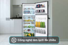 Khám phá những điểm nổi bật có trong tủ lạnh Sharp SJ-417WD-DG