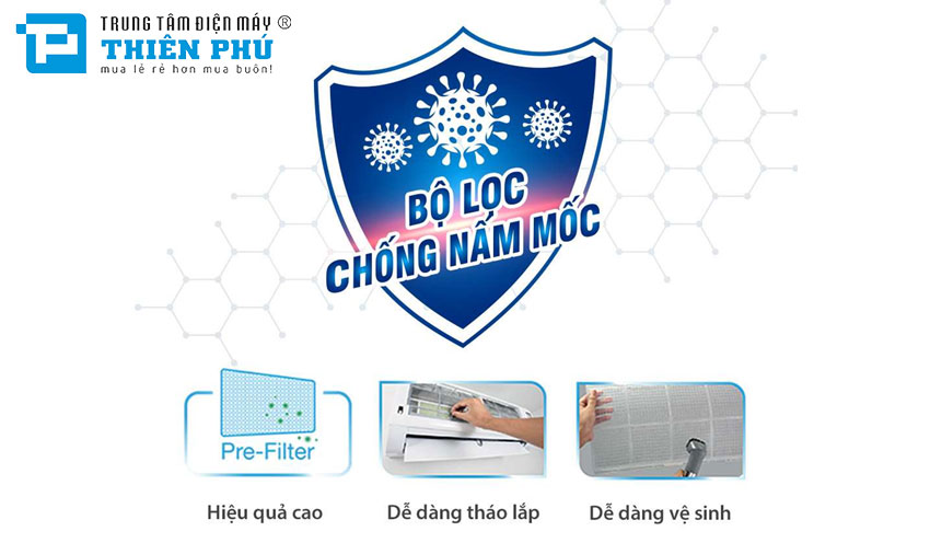 chống nấm mốc