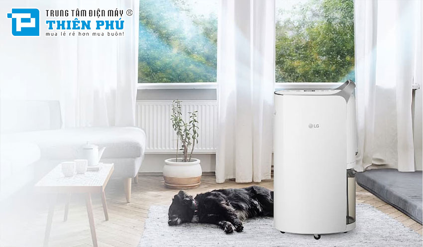 Cách sử dụng và bảo dưỡng máy hút ẩm LG MD16GQSE0 hiệu quả cho gia đình