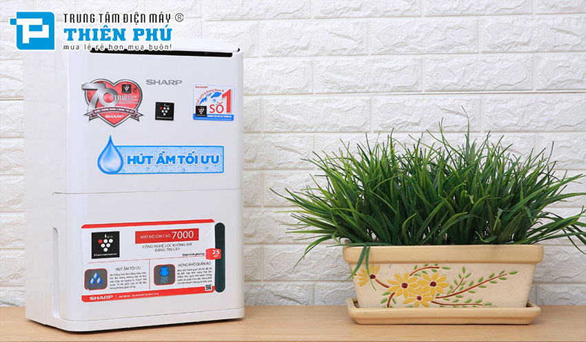 Hướng dẫn cài đặt và bảo dưỡng máy hút ẩm Sharp DW-D12A-W cho gia đình