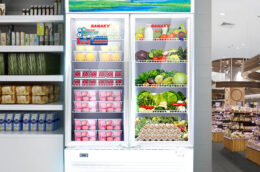 Tài chính dưới 25 triệu đồng mua được chiếc tủ mát Sanaky 2 cánh nào tốt?
