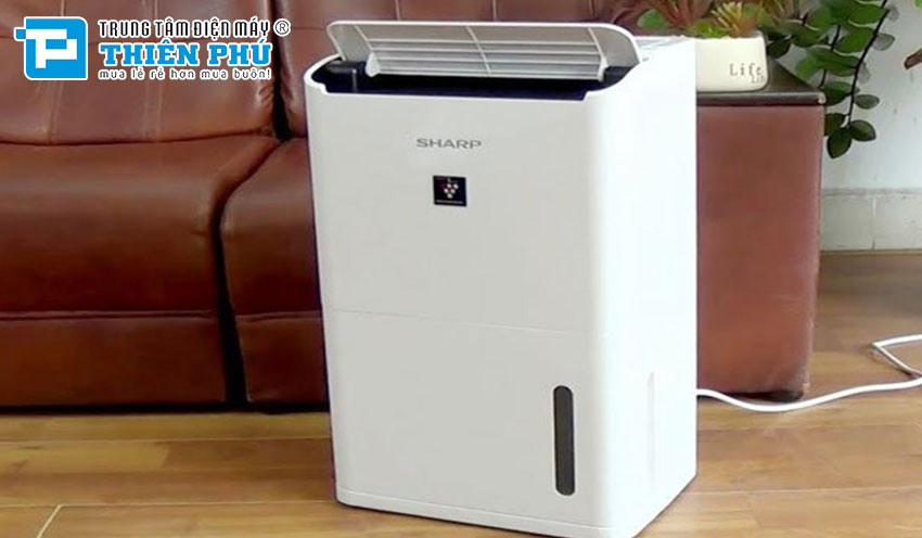 Hướng dẫn cài đặt và bảo dưỡng máy hút ẩm Sharp DW-D12A-W cho gia đình