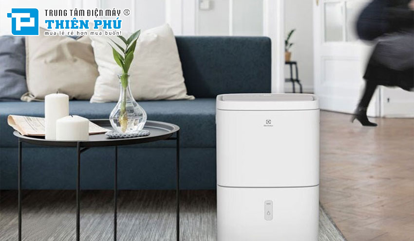 Giải đáp mọi thắc mắc: Máy hút ẩm Electrolux EDH10TRBW1 có gì nổi bật?