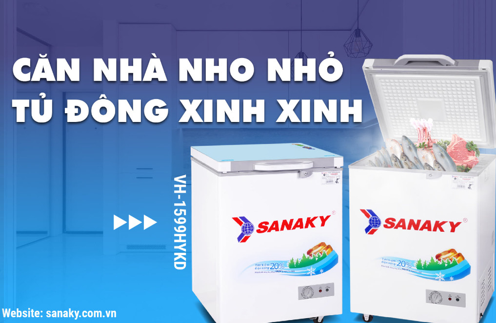 Những lý do bạn nên chọn mua tủ đông Sanaky 1 ngăn 1 cánh