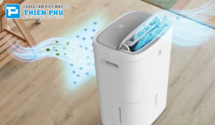 Lợi ích và ứng dụng thực tế của máy hút ẩm Electrolux EDH10TRBW1