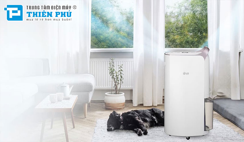 Hướng dẫn vệ sinh lưới lọc của máy hút ẩm LG MD19GQGE0 đơn giản tại nhà
