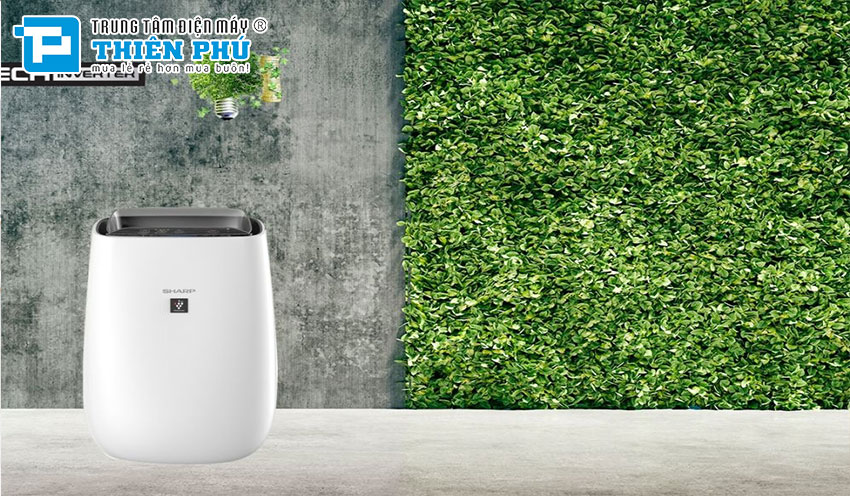 Tìm hiểu các tác dụng của bộ lọc Hepa trên máy lọc không khí Sharp FP-J40E-W