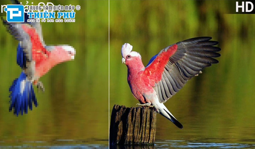 Tìm hiểu về các loại tivi đang có mặt trên thị trường: HD. Full HD, 4K và 8K