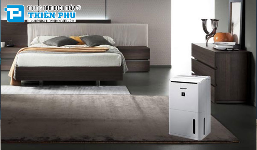 Giải đáp những vấn đề thường gặp trên máy hút ẩm Sharp DW-D12A-W