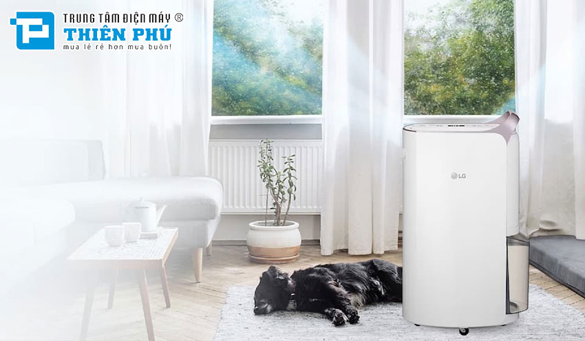 Đánh giá khả năng hút ẩm không khí của máy hút ẩm LG MD19GQGE0