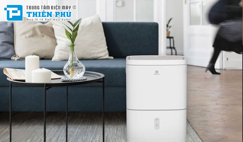 Lợi ích và ứng dụng thực tế của máy hút ẩm Electrolux EDH10TRBW1