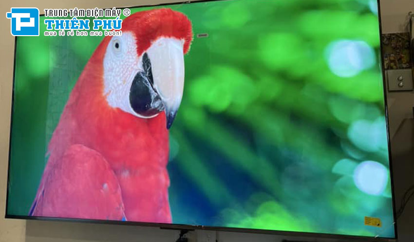 Tivi Sony 65 inch có giá bán là bao nhiêu trong tháng 12 năm 2023?