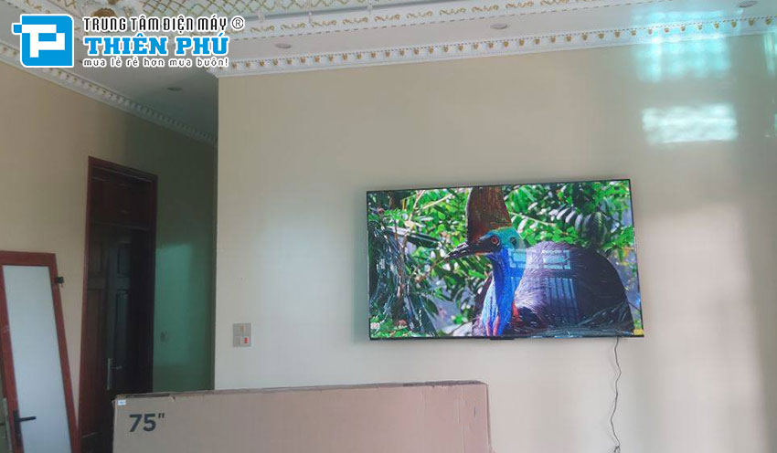 Review chất lượng hiển thị của màn hình tivi Sony 4K 75 inch KD-75X85L