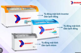 Có nên chọn mua tủ đông Sanaky 2 cánh inverter cho gia đình không?