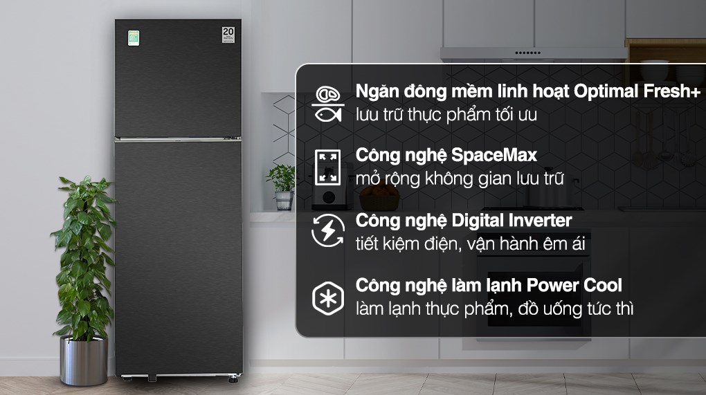 Gợi ý 3 tủ lạnh 2 cánh giá rẻ thích hợp cho phòng bếp
