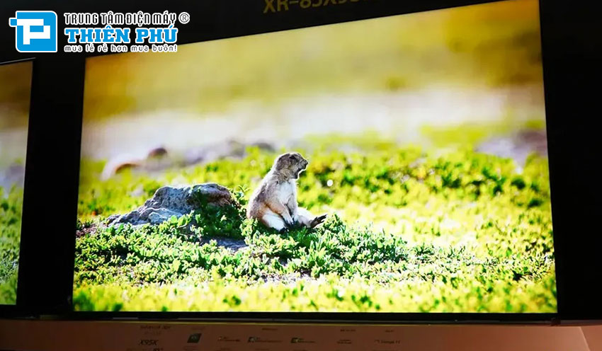 Bật mí các công nghệ làm lên chất lượng cho tivi Sony 4K XR-85X95L