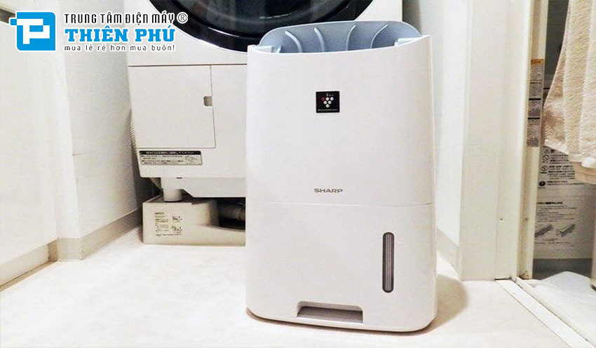 Bảo dưỡng định kỳ: Cách bảo quản và duy trì máy hút ẩm Sharp đúng cách