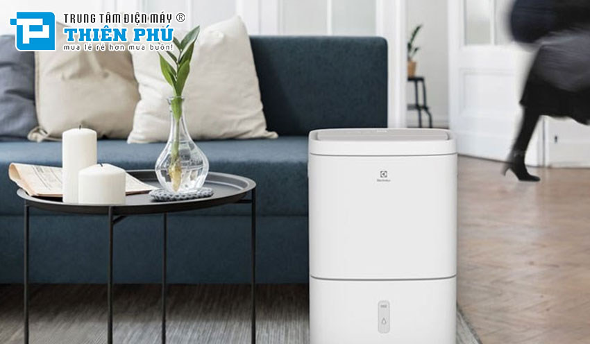 Hướng dẫn sử dụng hiệu quả: Máy hút ẩm Electrolux và cách bảo quản đúng đắn
