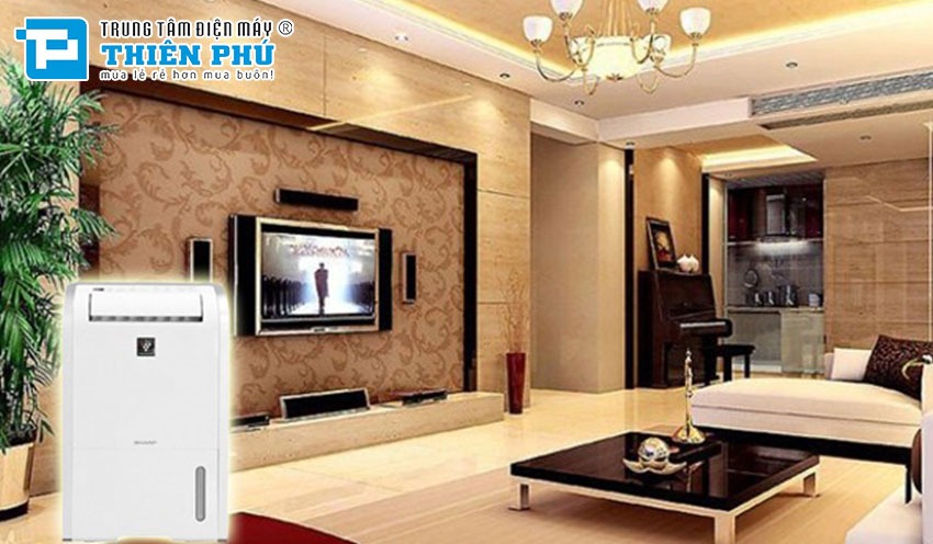 Tận hưởng không gian sạch sẽ: Giải quyết vấn đề ẩm mốc với máy hút ẩm Sharp DW-D20A-W