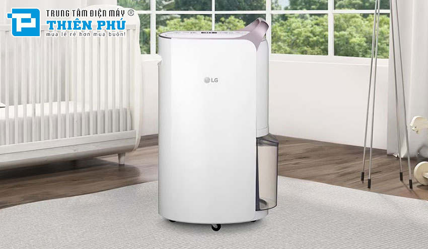 Đánh giá những ưu điểm nổi bật khi sử dụng máy hút ẩm LG trong mùa đông