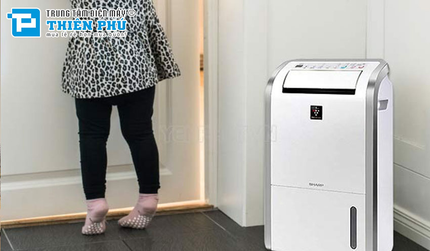 Tận hưởng không gian sạch sẽ: Giải quyết vấn đề ẩm mốc với máy hút ẩm Sharp DW-D20A-W