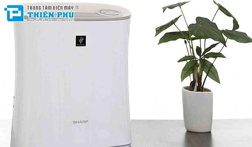 Bảo dưỡng định kỳ: Cách bảo quản và duy trì máy hút ẩm Sharp đúng cách