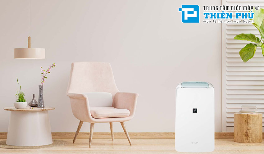 Bảo dưỡng đúng cách: Cách bảo quản máy hút ẩm Sharp để kéo dài tuổi thọ