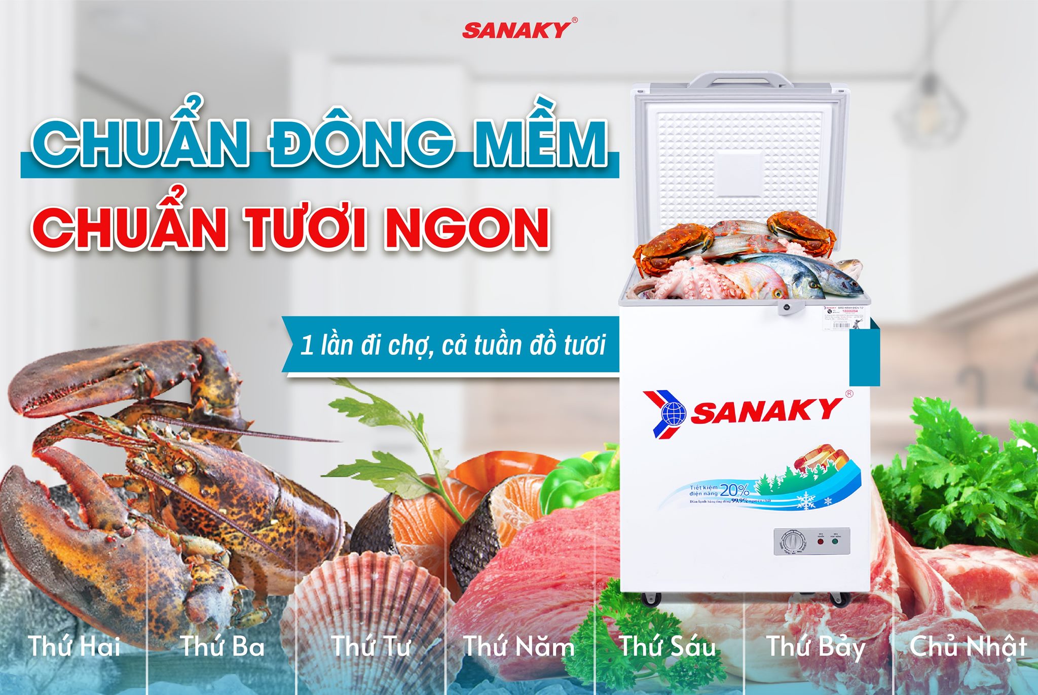 Làm thế nào để bảo quản thực phẩm hiệu quả cho mọi gia đình với tủ đông Sanaky