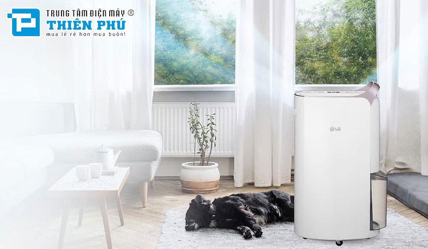 Máy hút ẩm LG - Giải pháp hiệu quả cho không gian sạch sẽ và khô ráo