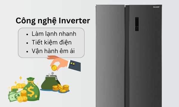 3 mẫu tủ lạnh 2 cánh chất lượng, thích hợp với nhiều gia đình Việt