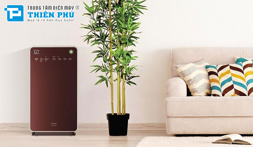 Những tác hại của máy lọc không khí Hitachi khi bạn sử dụng không đúng cách