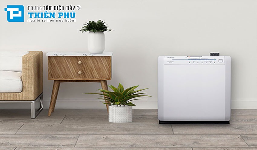 Những tác hại của máy lọc không khí Hitachi khi bạn sử dụng không đúng cách
