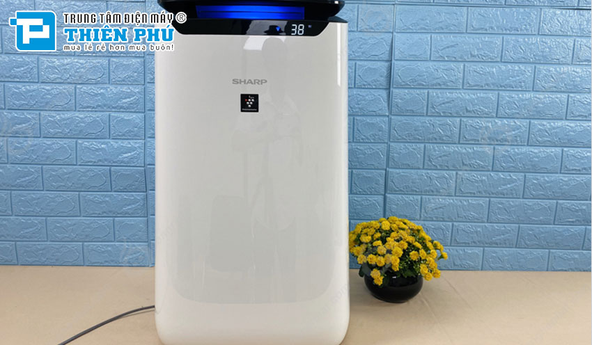 Hướng dẫn sử dụng máy lọc không khí Sharp đúng cách để đảm bảo bền bỉ