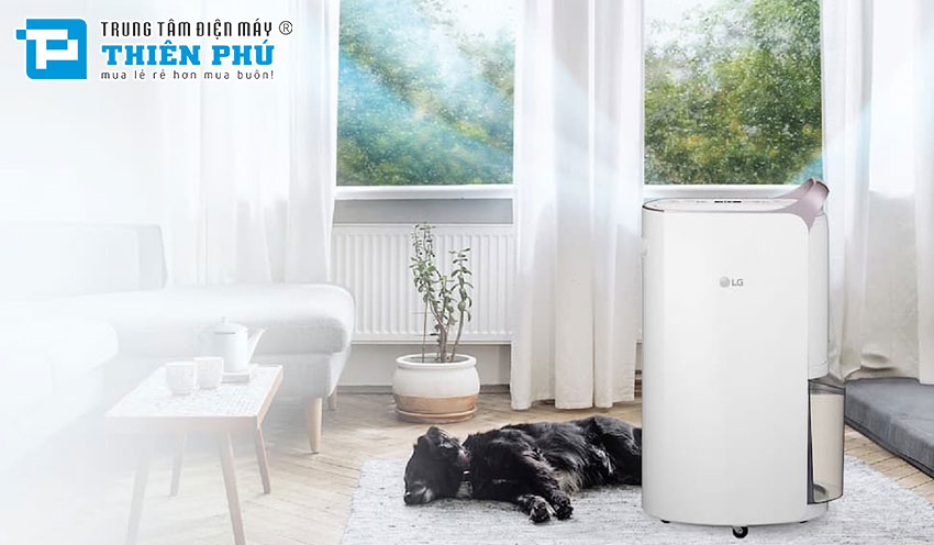 Hướng dẫn sử dụng máy hút ẩm LG MD19GQGE0 đúng cách và hiệu quả nhất