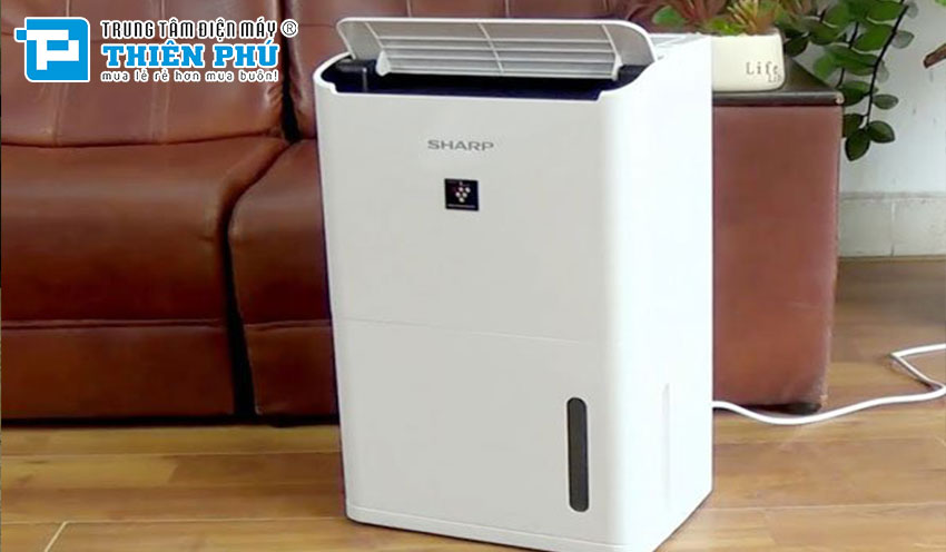 Top 3 máy hút ẩm Sharp tốt nhất năm 2024 được người dùng ưu chuộng nhất hiện nay