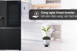 Tủ Lạnh LG GR-X257BL: Giải pháp lưu trữ thực phẩm hiệu quả cho không gian bếp