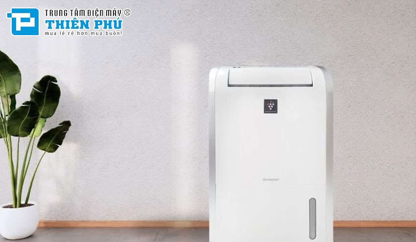 Điểm danh một số dòng máy hút ẩm Sharp đang hot nhất hiện nay