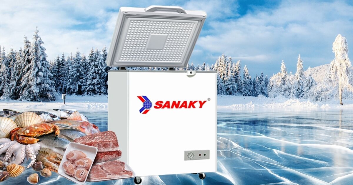 Giới thiệu một số mẫu tủ đông Sanaky inverter đang làm mưa làm gió trên thị trường