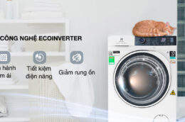 Top 3 chiếc máy giặt Electrolux inverter tốt nhất, chất lượng cao