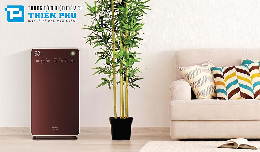 Nên bật máy lọc không khí Hitachi trong bao lâu? Lưu ý khi sử dụng để mang lại hiệu quả?