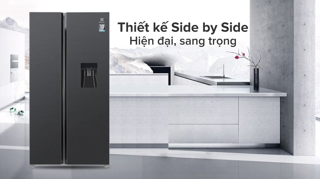 Những lý do khiến bạn nên chọn tủ lạnh Electrolux ESE6141A-BVN