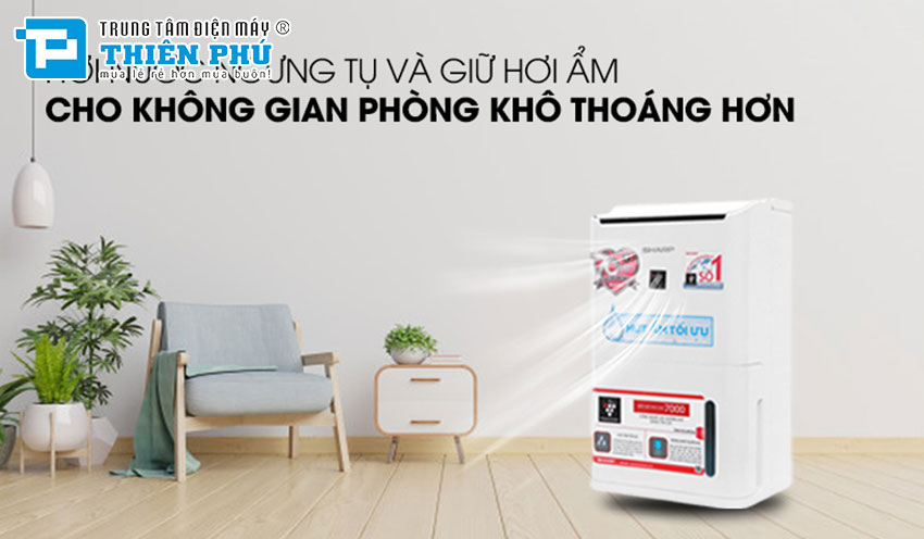 Review chi tiết máy hút ẩm Sharp DW-D12A-W: Giải pháp hoàn hảo cho môi trường ẩm