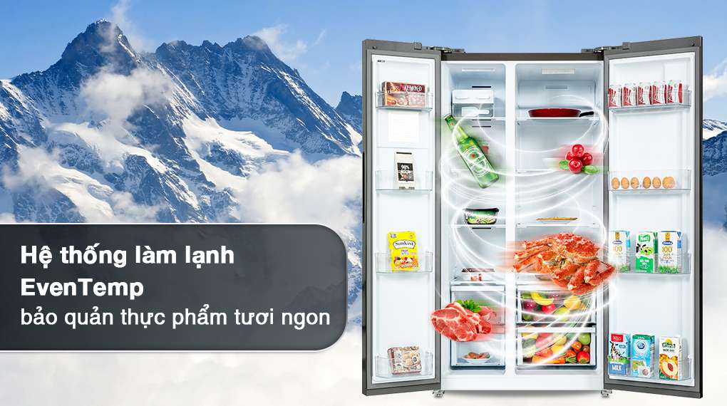 Tủ lạnh Electrolux ESE6600A-AVN có phải một lựa chọn tốt?