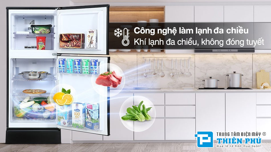 Tủ Lạnh Funiki Inverter HR T8209TDG 2 Cánh 209 Lít