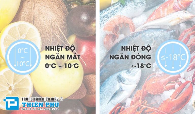 Giữ thực phẩm tươi ngon với tủ đông Sanaky VH-2899W4K – Tiết kiệm điện năng hiệu quả