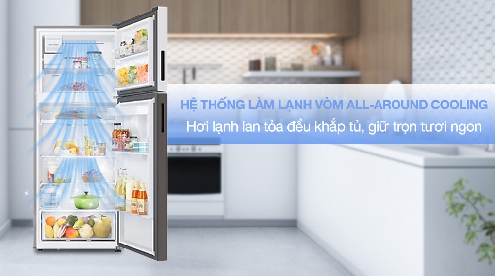 Tủ lạnh Samsung 2 cánh RT38CB6784C3/SV - Lựa chọn chất lượng cho gia đình bạn