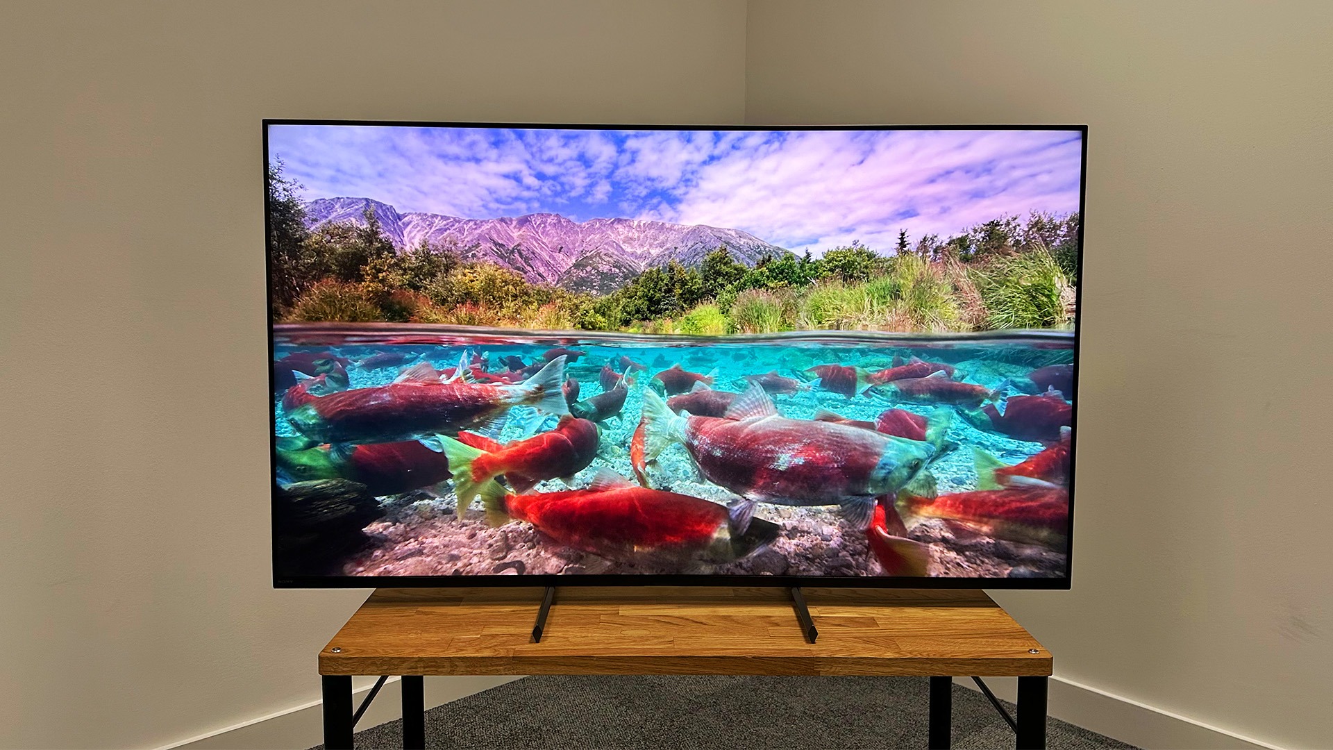 Tivi Sony 55 inch giá rẻ nhất thị trường - Xem ngay để biết thêm chi tiết!